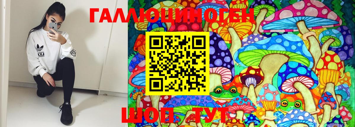 Галлюциногенные грибы Psilocybine cubensis  Вход с VPN  Химки 